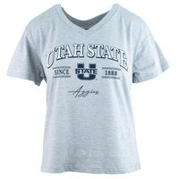 Women's champion utah state aggies 20 french gray vneck t-shirt